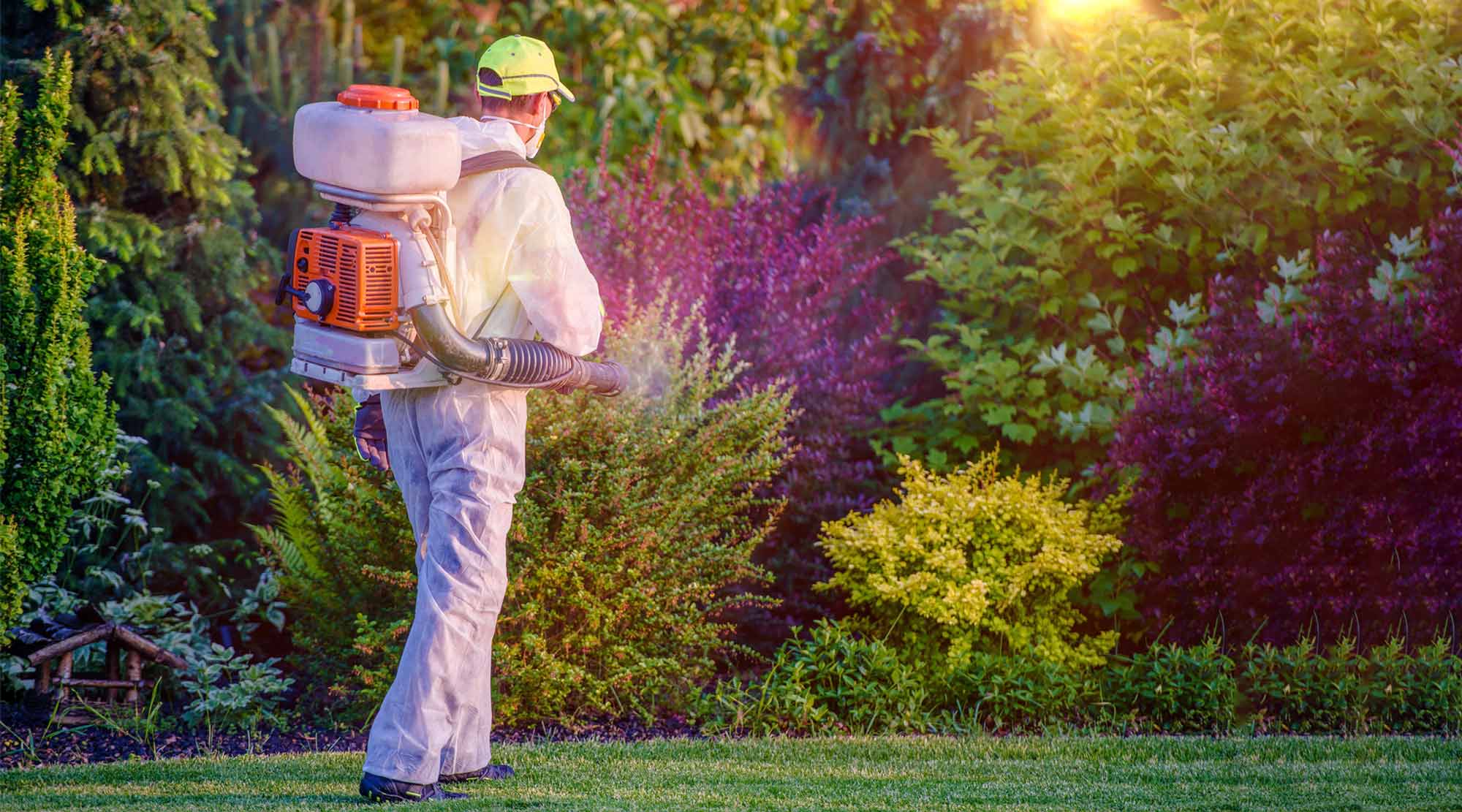 To safeguard your property against pests, it's fundamental to focus on safe and viable pest control strategies. From rodents to bugs, pests can present huge dangers to both your property's primary trustworthiness and the strength of its tenants. To address these worries, pest control hills district offer comprehensive arrangements intended to wipe out pests while guaranteeing the safety of your home and family. Comprehensive Pest Inspections: Trusted pest management experts start the cycle by leading intensive inspections of your property to distinguish existing pest pervasions and potential risk factors. These inspections include evaluating both the inside and outside of your home, including normal passage focuses, settling regions, and favorable circumstances for pest action. By recognizing hidden issues right off the bat, pest control experts can foster tailored methodologies to actually address your property's particular requirements. Environmentally Friendly Treatments: Safe pest control hills district focuses on the utilization of environmentally friendly treatments and strategies that limit damage to people, pets, and the biological system. Trustworthy pest management experts utilize incorporated pest management (IPM) strategies, which center around counteraction, monitoring, and designated intercessions to really oversee pest populations. These strategies frequently integrate normal, non-harmful items obtained from herbal concentrates or eco-friendly plans, guaranteeing safe and maintainable pest control solutions for your property. Customized Treatment Plans: Each property is special, and so are its pest control needs. Trusted pest management experts perceive this reality and foster customized treatment plans custom-made to address your property's particular pest challenges. By choosing customized treatment plans, mortgage holders can achieve durable outcomes and appreciate inner harmony, realizing that their property is sufficiently safeguarded against pests. Ongoing Monitoring and Support: Viable pest management doesn't end with treatment; it requires ongoing monitoring and support to guarantee enduring outcomes. Trusted pest control experts give follow-up inspections and preventive measures to safeguard your property against future pervasions. Furthermore, respectable pest management organizations offer guarantees and certifications for their administrations, furnishing property holders with added affirmation and trust in the adequacy of their pest control arrangements. Safeguarding your property against pests is a vital part of maintaining a safe, sound, and happy living climate. From comprehensive inspections to environmentally friendly treatments and ongoing support, proficient pest management administrations offer the inner serenity and confirmation you want to actually safeguard your property against pests.