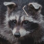 Why Professional Pest Control Service Is Essential for Every Home?