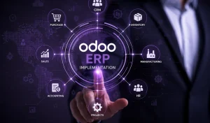 10 Best Odoo ERP Partners in the USA